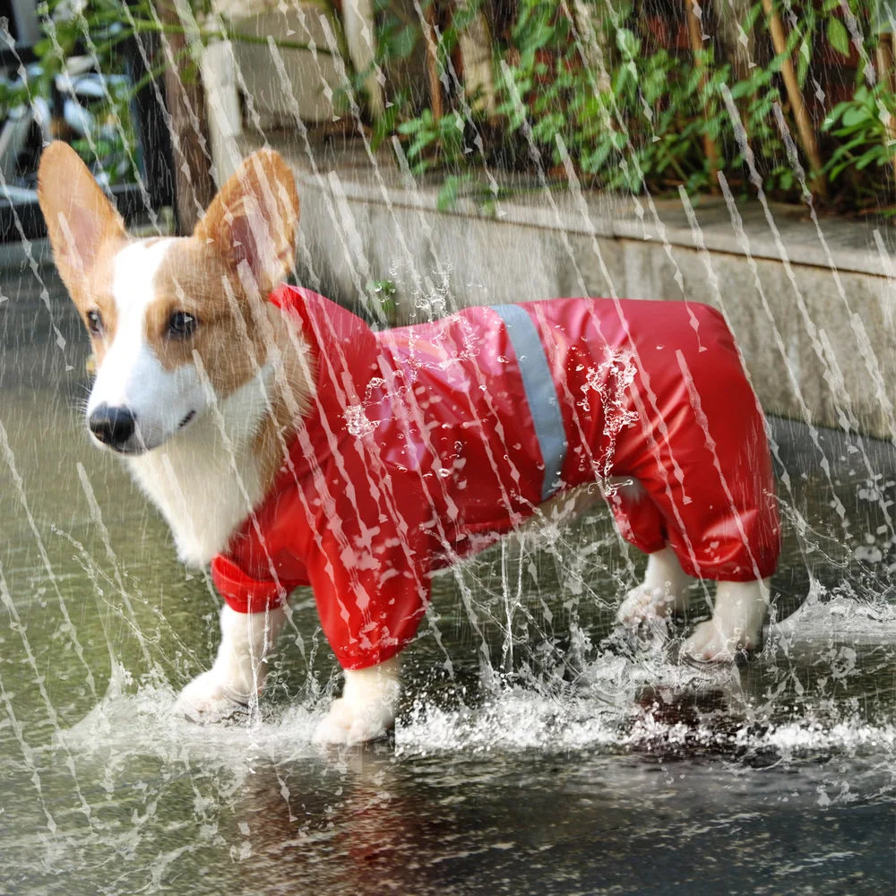 Waterproof Dog Raincoat – Reflective Jumpsuit for Small Dogs