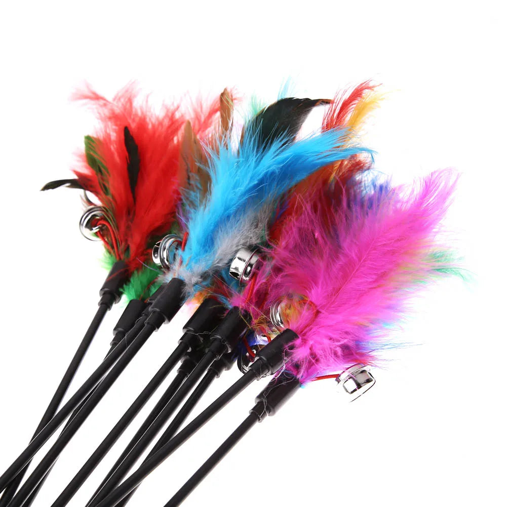 Feather Wand Cat Teaser – Interactive Play Wand (5/10/15 Pack)