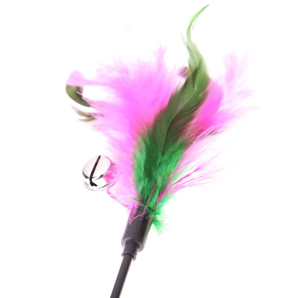 Feather Wand Cat Teaser – Interactive Play Wand (5/10/15 Pack)