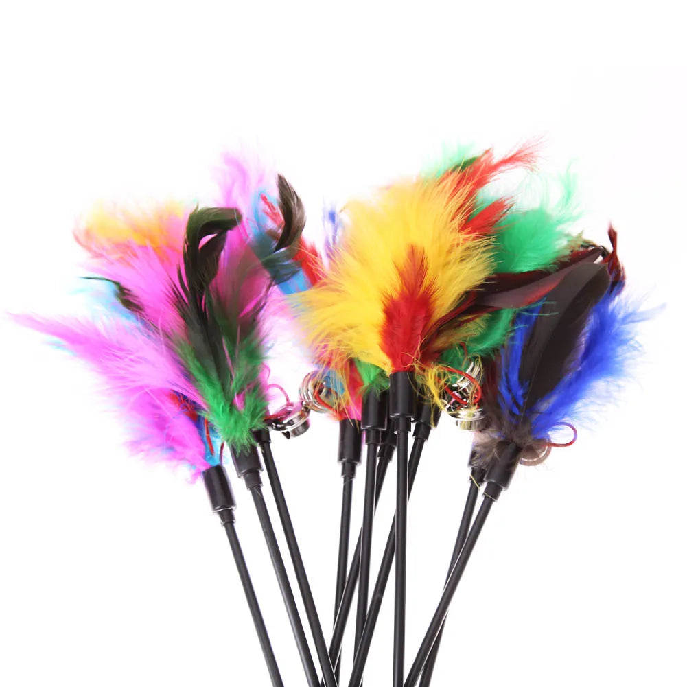 Feather Wand Cat Teaser – Interactive Play Wand (5/10/15 Pack)