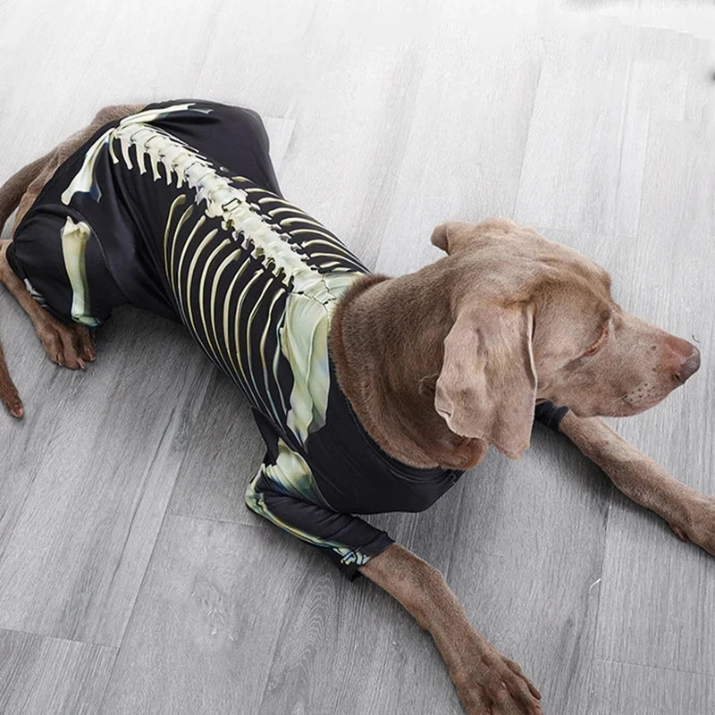 Skeleton Halloween Costume – Spooky Bone-Print Outfit for Dogs