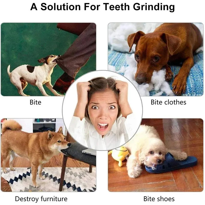 Treat-Dispensing Chew Ball – Interactive Toy for Dogs & Cats