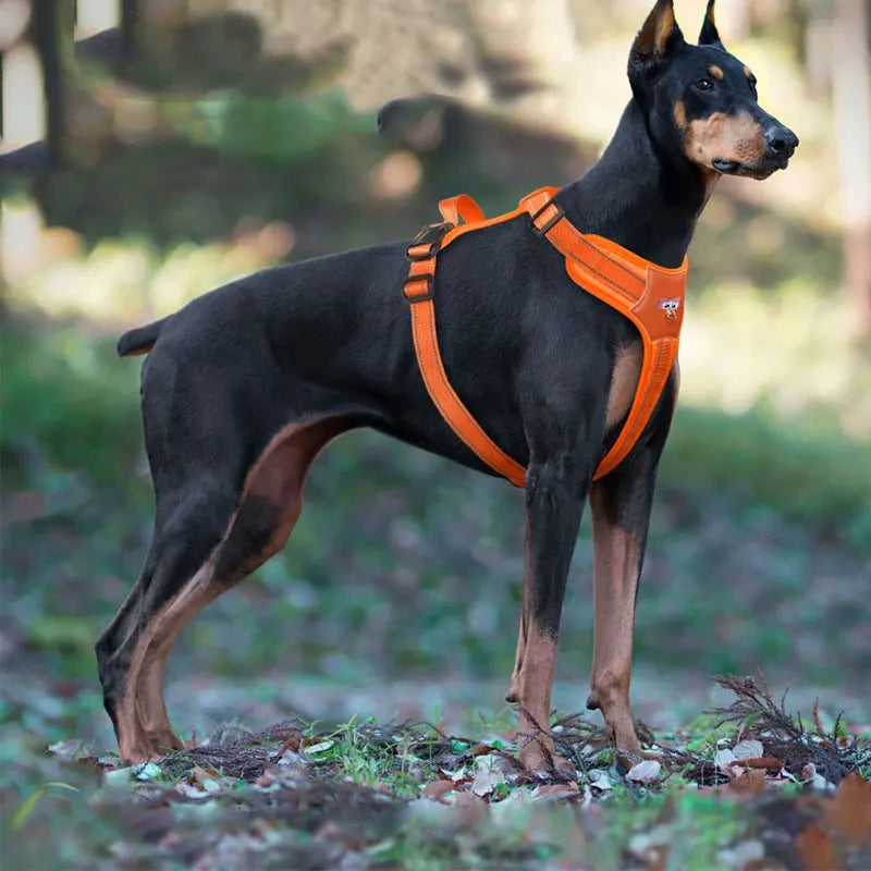 Reflective Waterproof Harness Vest – No-Pull Safety Harness for Medium & Large Dogs