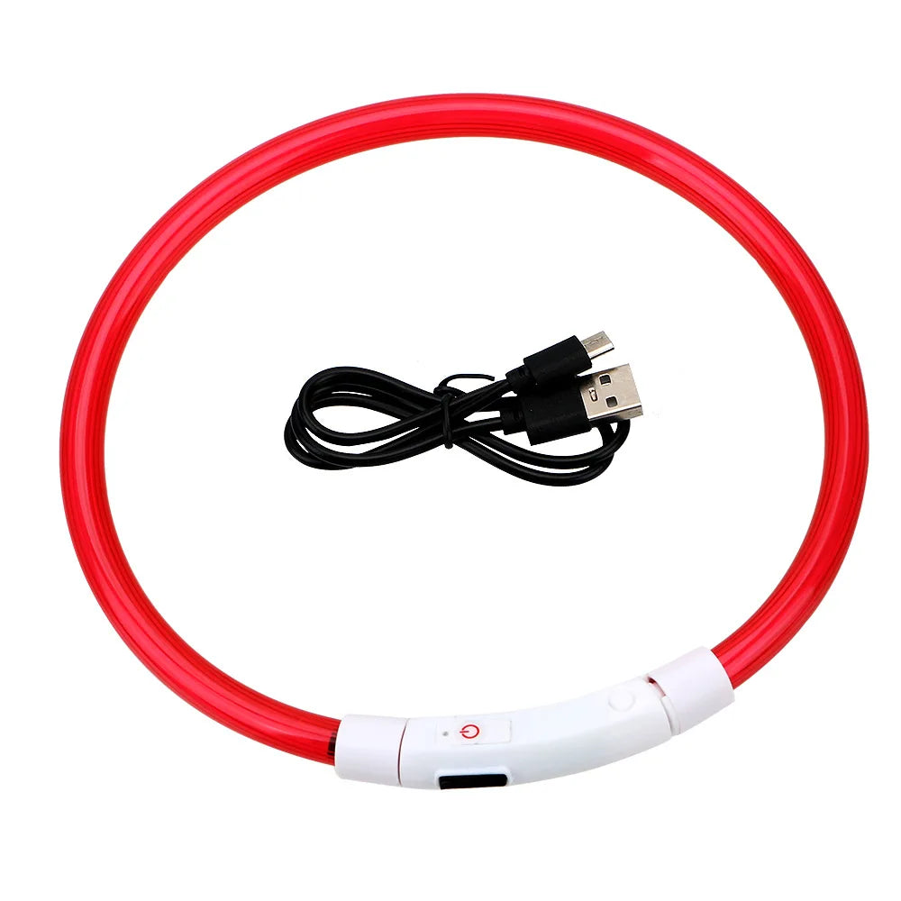 LED Light-Up Dog Collar – USB Rechargeable Anti-Lost Safety Collar