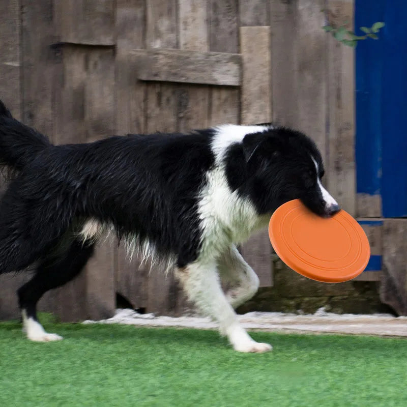 Silicone Flying Saucer – Soft Dog Frisbee
