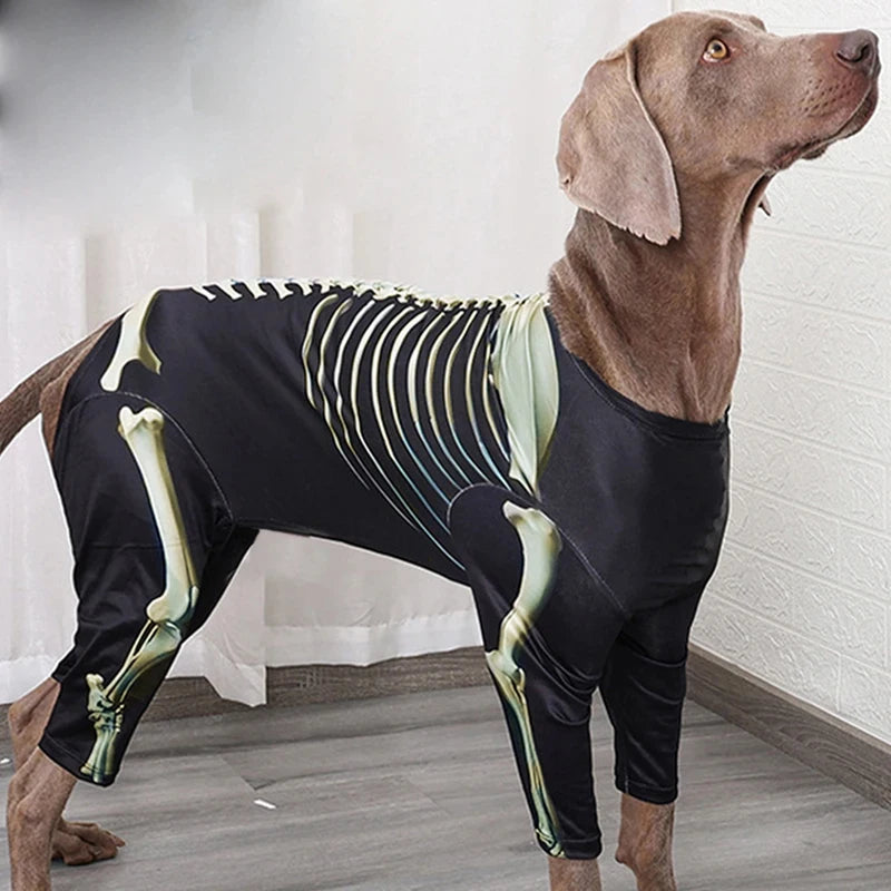 Skeleton Halloween Costume – Spooky Bone-Print Outfit for Dogs