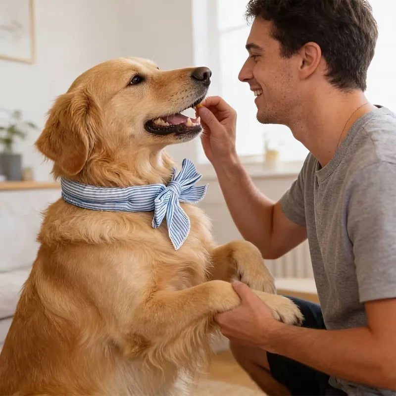 Pet Cooling Ice Scarf – Cooling Collar for Hot Days