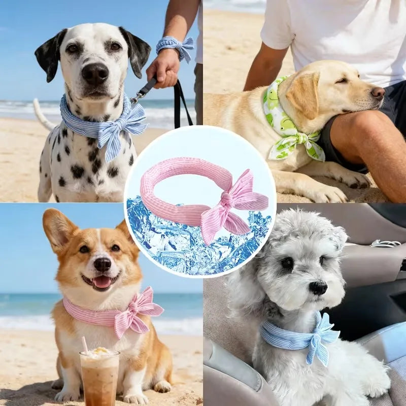 Pet Cooling Ice Scarf – Cooling Collar for Hot Days