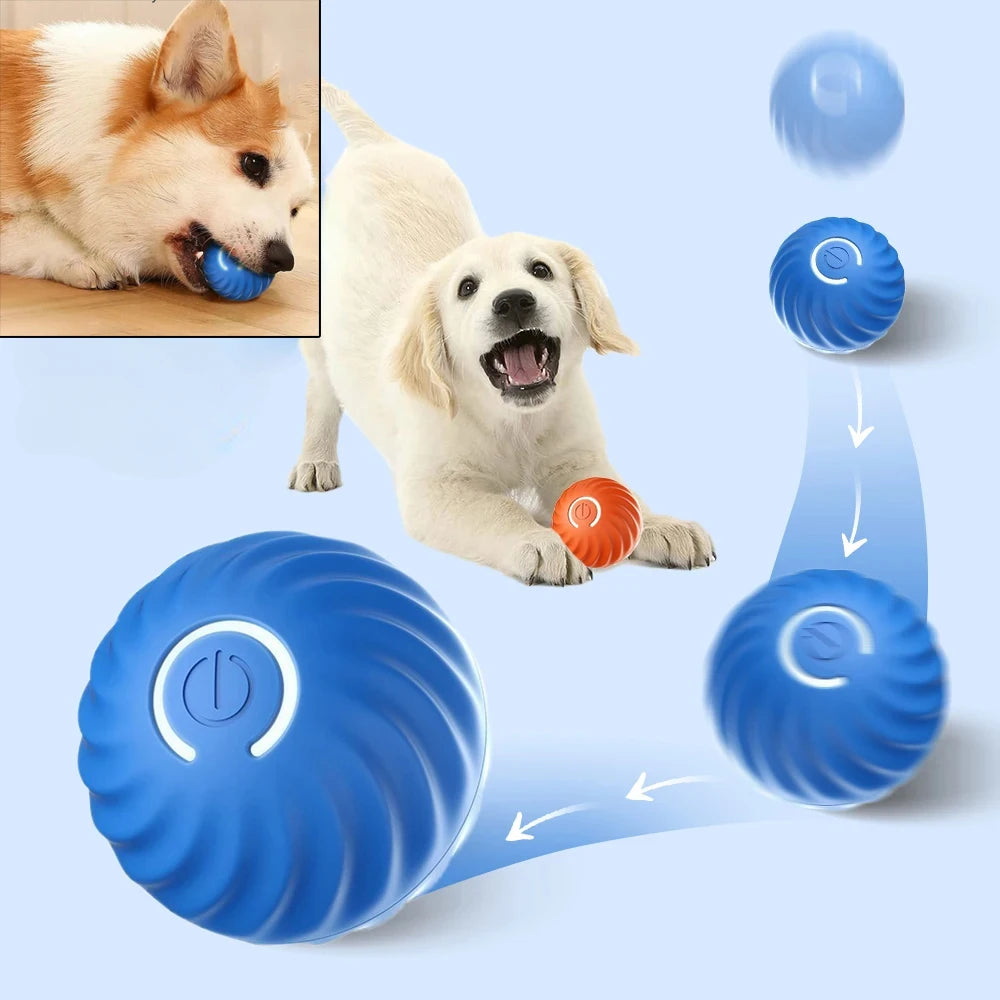 Smart Bouncing Ball – Automatic Interactive Dog Toy