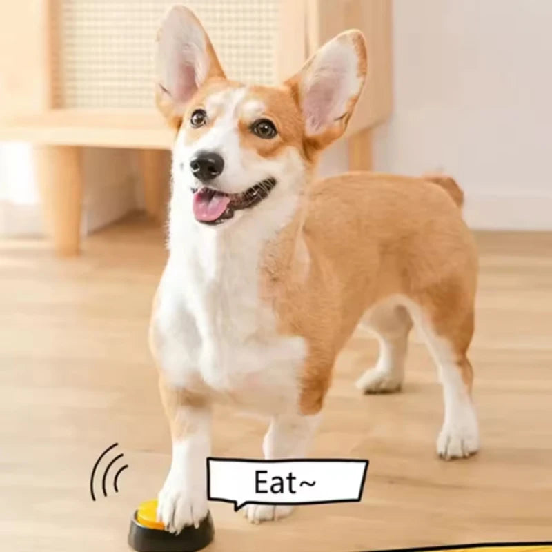 Recordable Talking Pet Buttons – Communication Training Toy