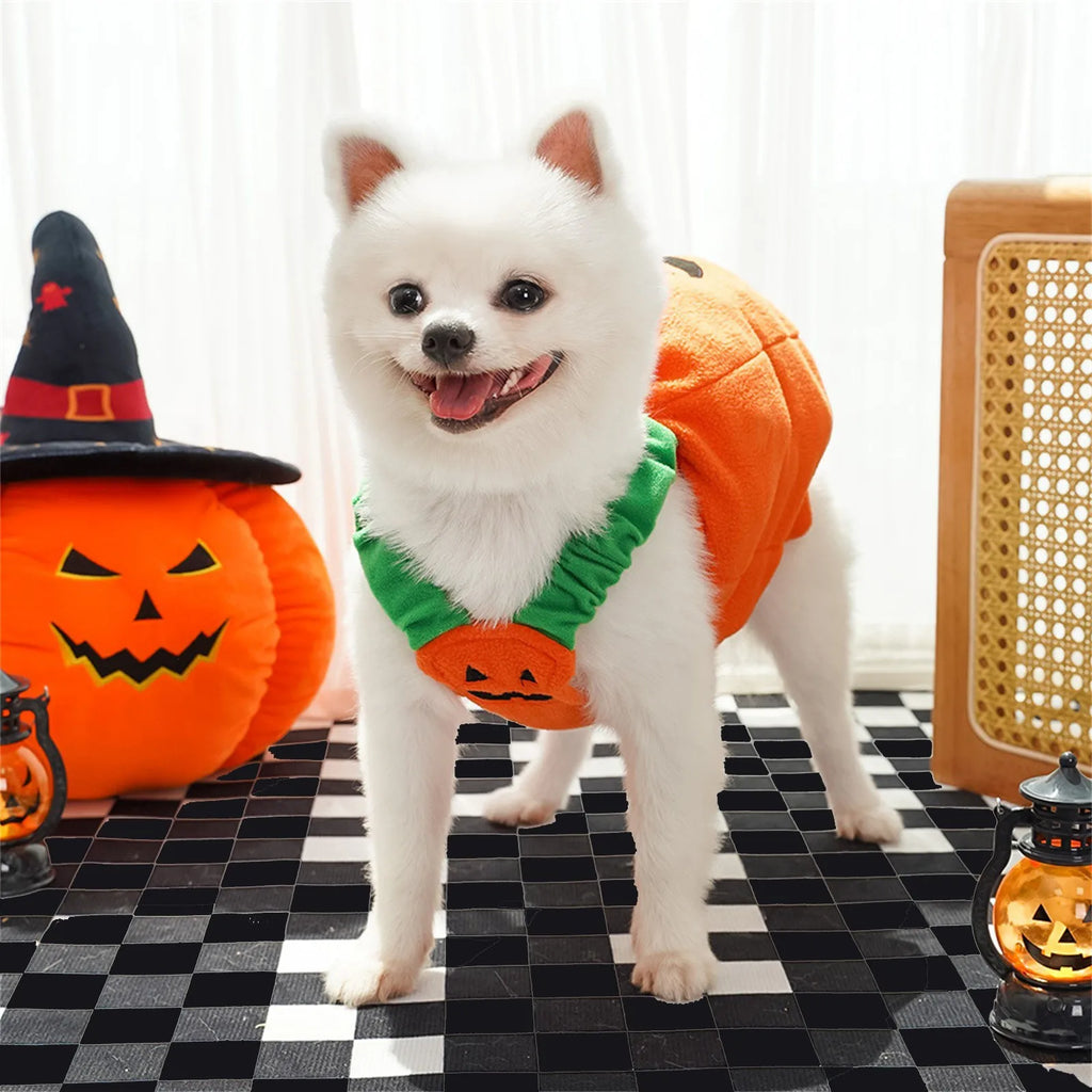 Pumpkin Halloween Costume – Lantern Cosplay Outfit for Dogs & Cats