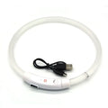 LED Light-Up Dog Collar – USB Rechargeable Anti-Lost Safety Collar