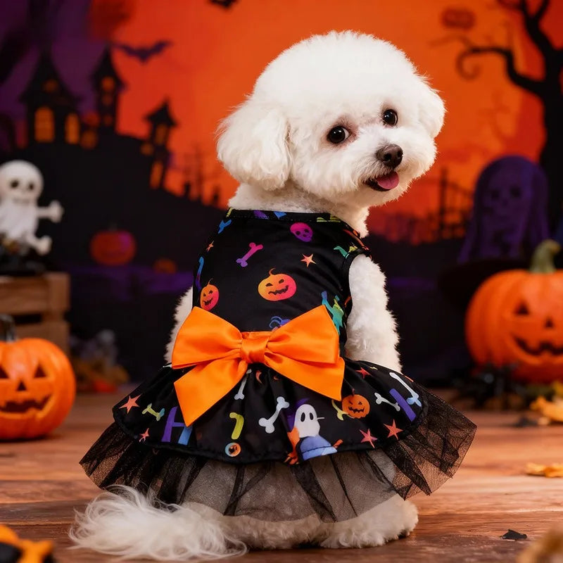 Witch Hat & Cape Costume Set – Halloween Cosplay for Dogs & Cats