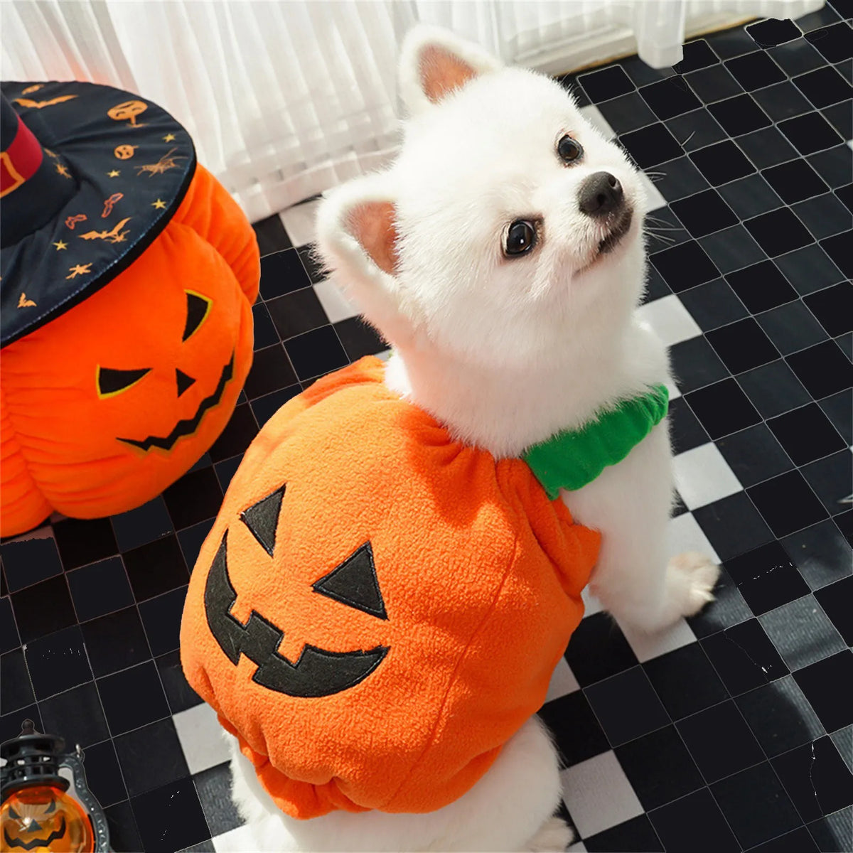 Pumpkin Halloween Costume – Lantern Cosplay Outfit for Dogs & Cats