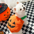 Pumpkin Halloween Costume – Lantern Cosplay Outfit for Dogs & Cats