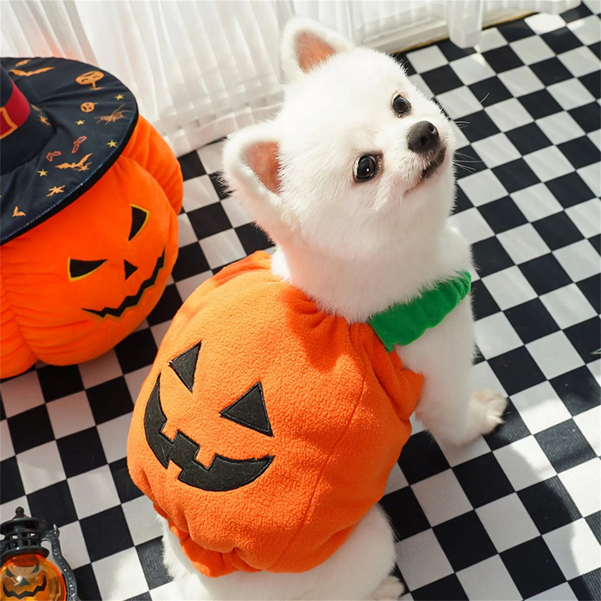Pumpkin Halloween Costume – Lantern Cosplay Outfit for Dogs & Cats