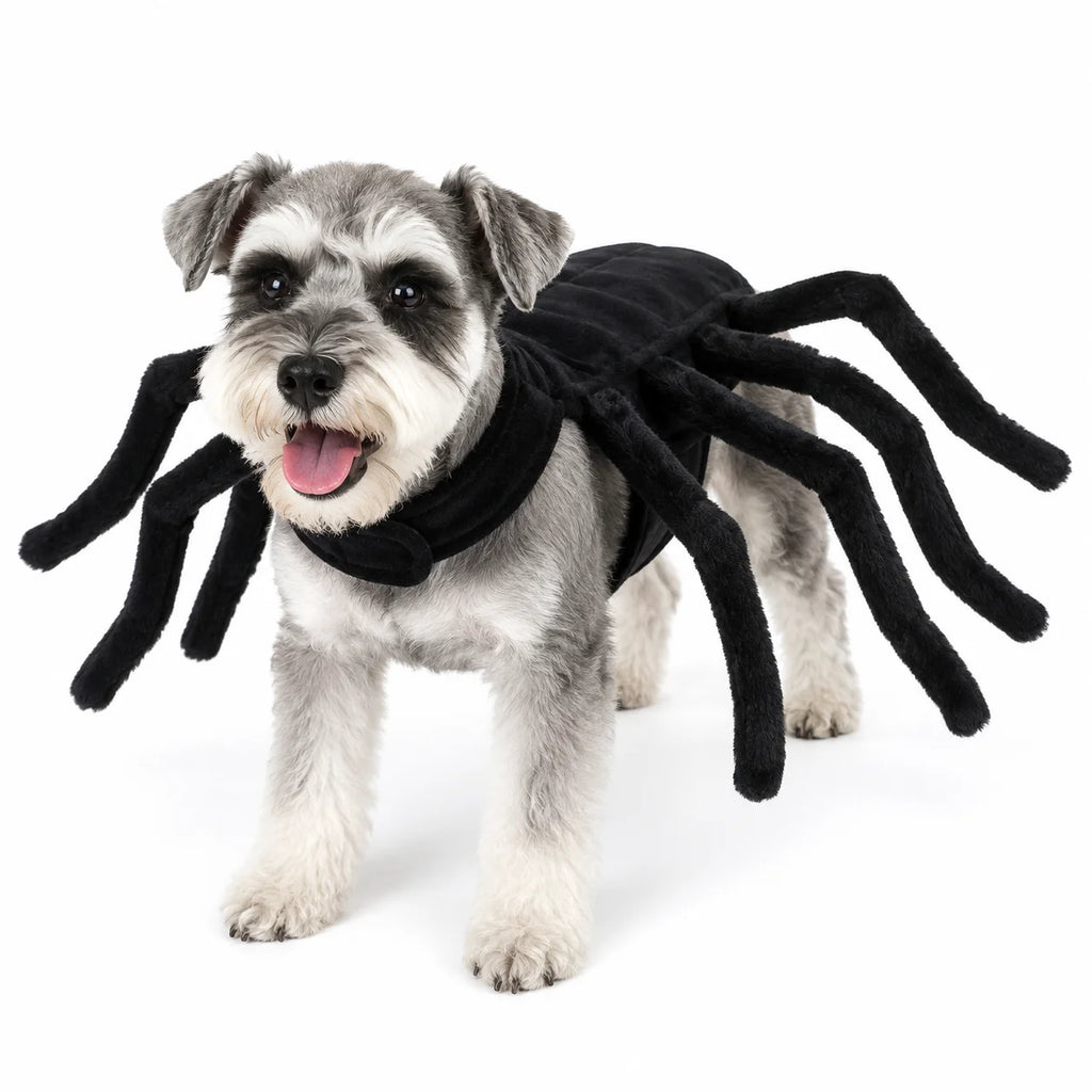 Spider Halloween Costume – Creepy 8-Leg Cosplay for Dogs & Cats