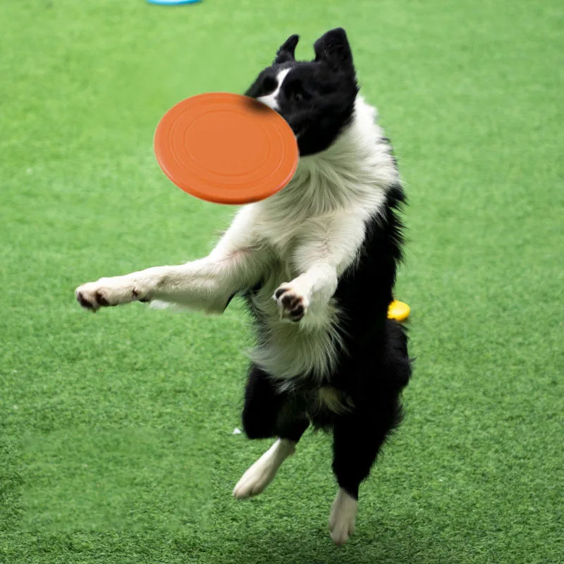 Silicone Flying Saucer – Soft Dog Frisbee