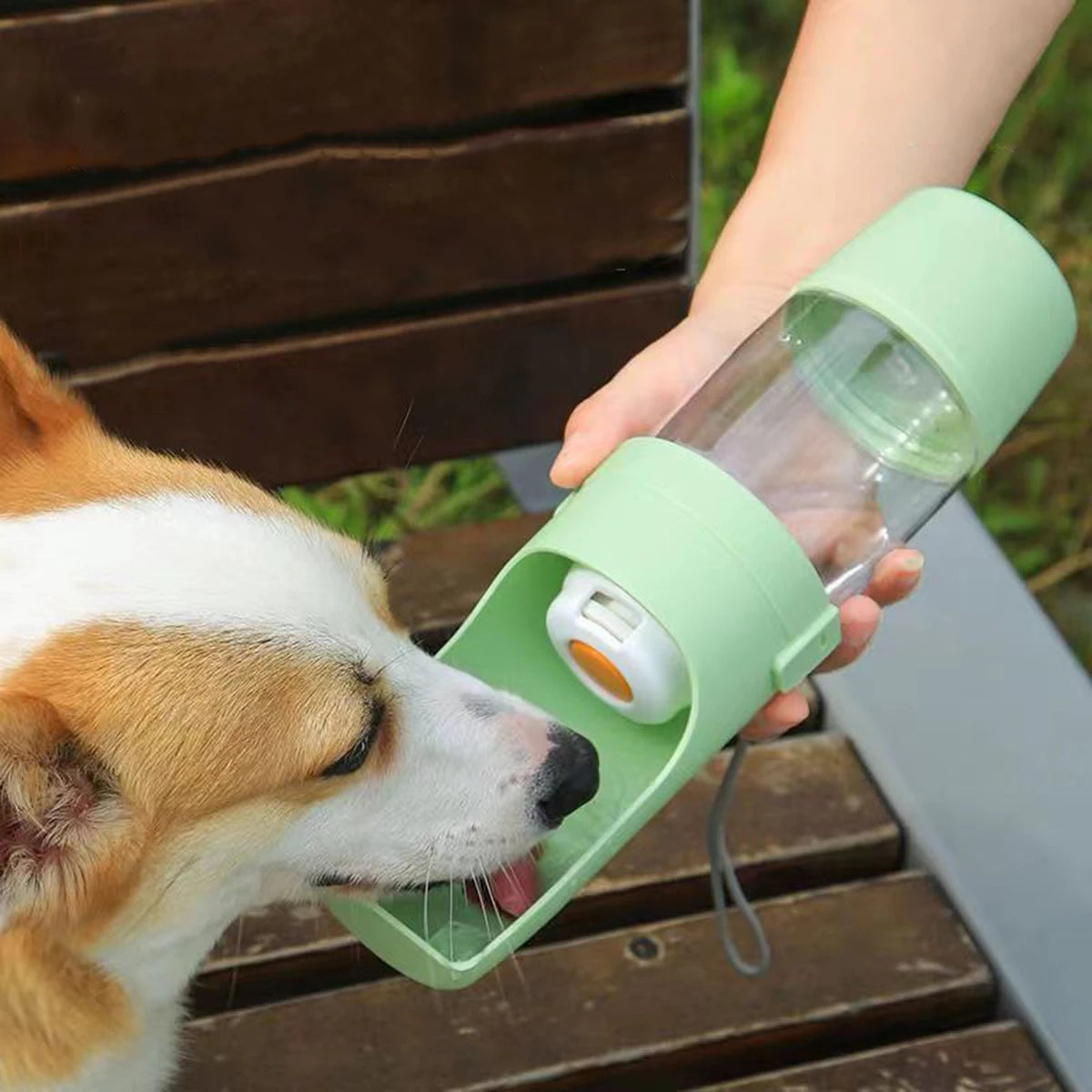 Portable Pet Water Bottle with Food Storage – Travel Feeder