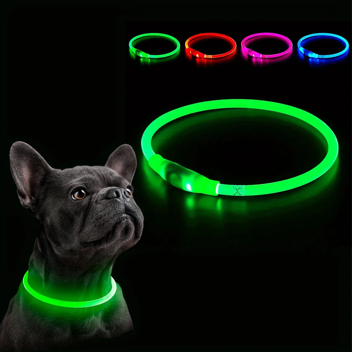 LED Light-Up Dog Collar – USB Rechargeable Anti-Lost Safety Collar