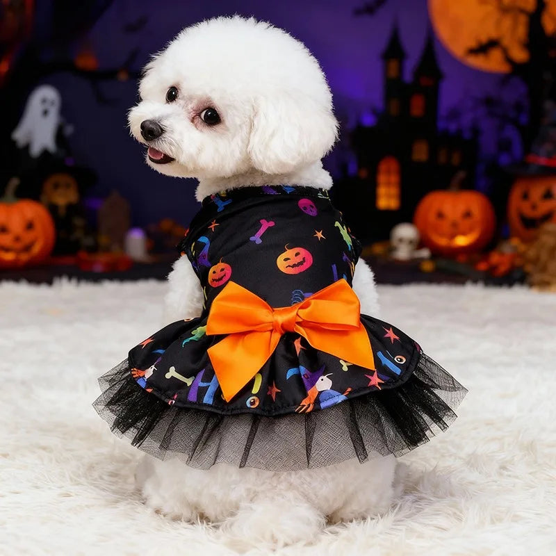 Witch Hat & Cape Costume Set – Halloween Cosplay for Dogs & Cats