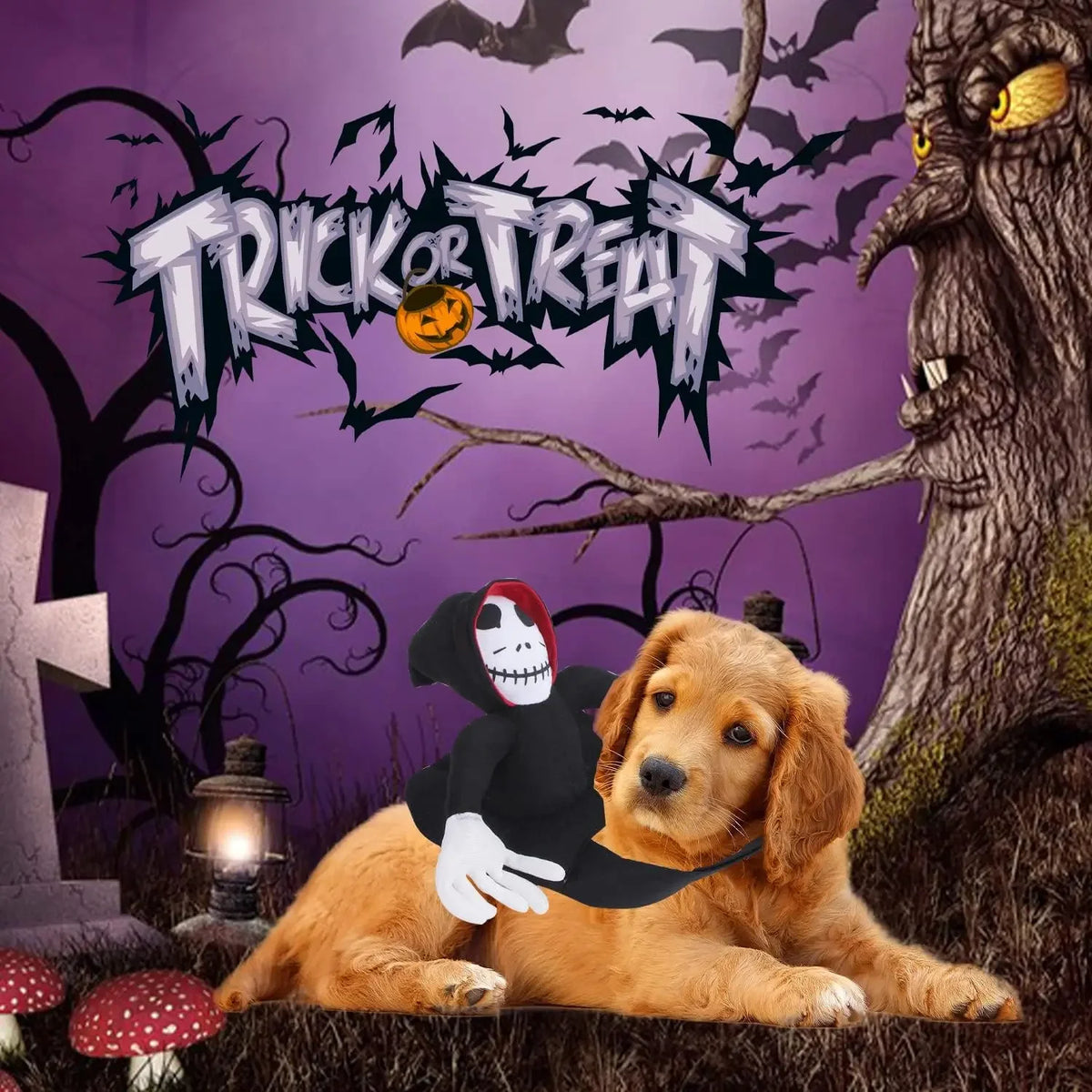 Ghost & Black Cat Halloween Costume – Spooky Dress-Up for Dogs & Cats