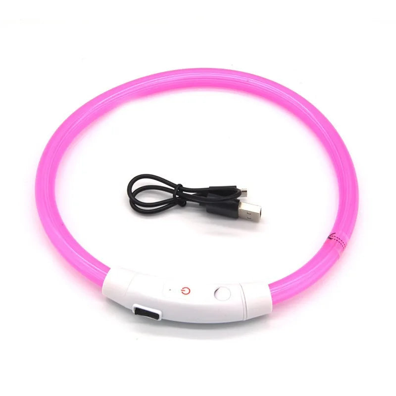 LED Light-Up Dog Collar – USB Rechargeable Anti-Lost Safety Collar