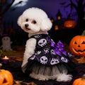 Witch Hat & Cape Costume Set – Halloween Cosplay for Dogs & Cats