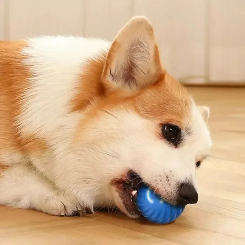 Smart Bouncing Ball – Automatic Interactive Dog Toy