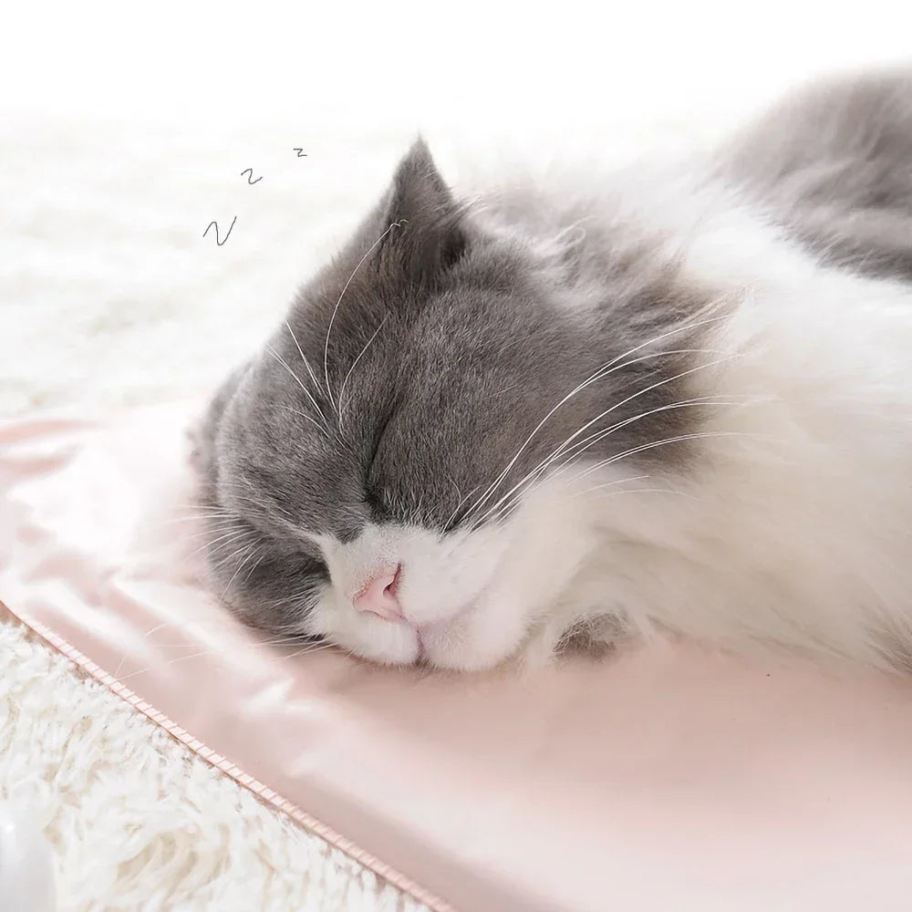 Winter Pet Heating Blanket – Warm Waterproof Mat (US Plug)