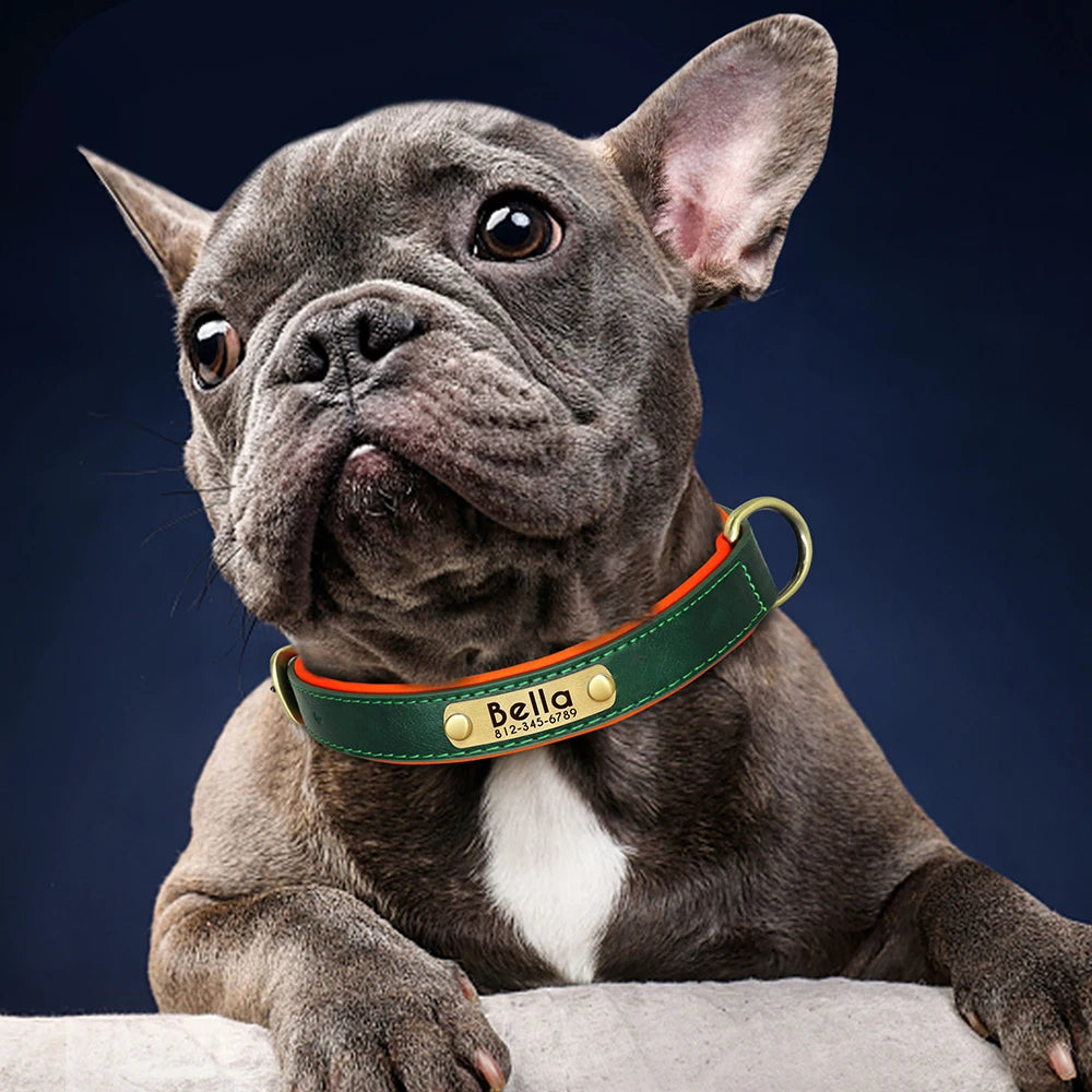 Personalized PU Leather Dog Collar – Free Engraved Nameplate