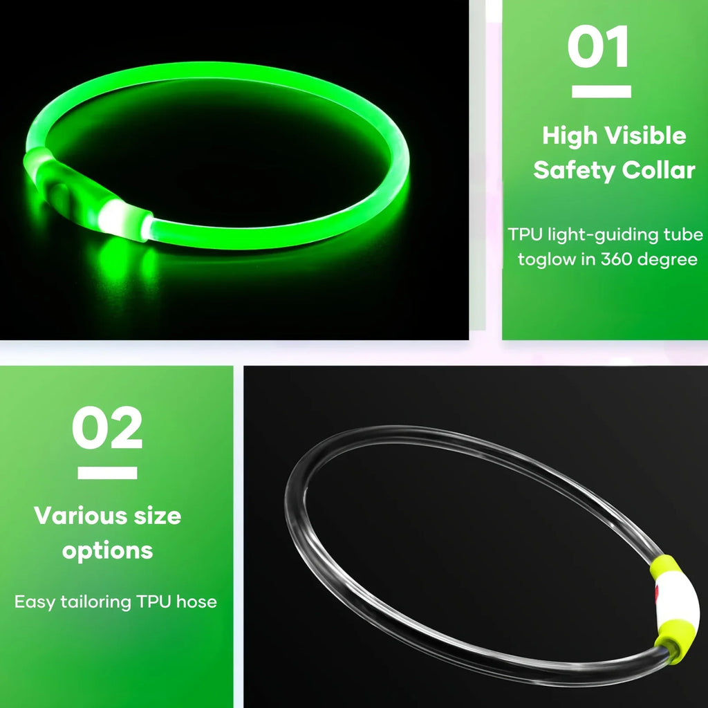 LED Light-Up Dog Collar – USB Rechargeable Anti-Lost Safety Collar