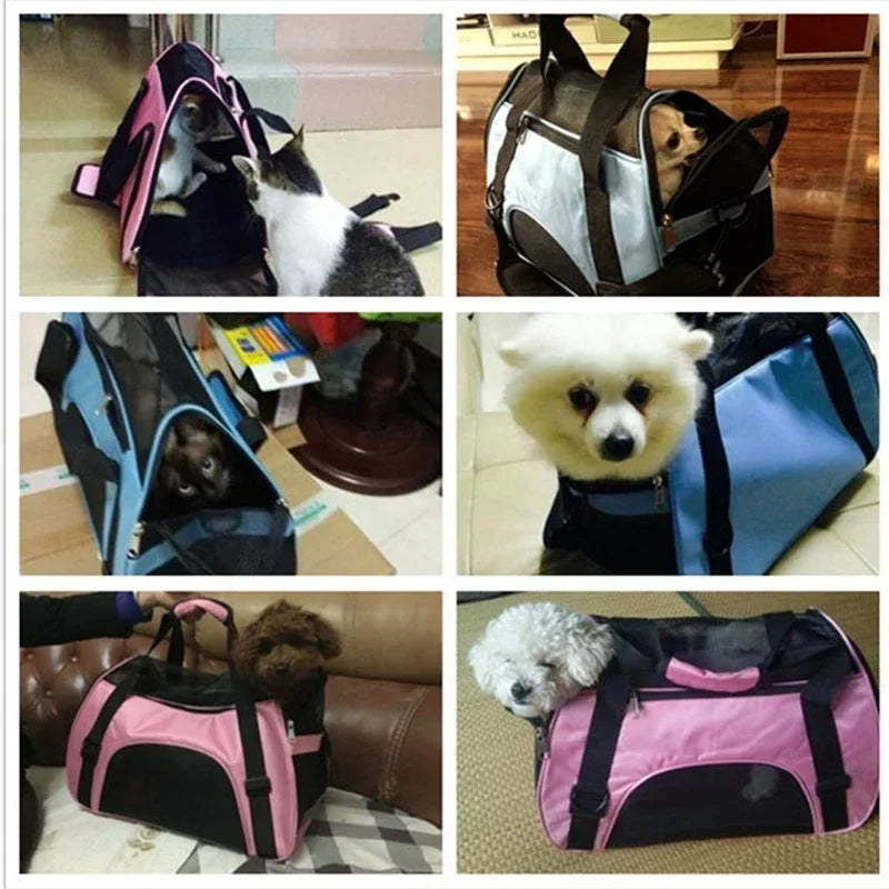 Foldable Mesh Pet Carrier Handbag – Breathable Travel Carrier