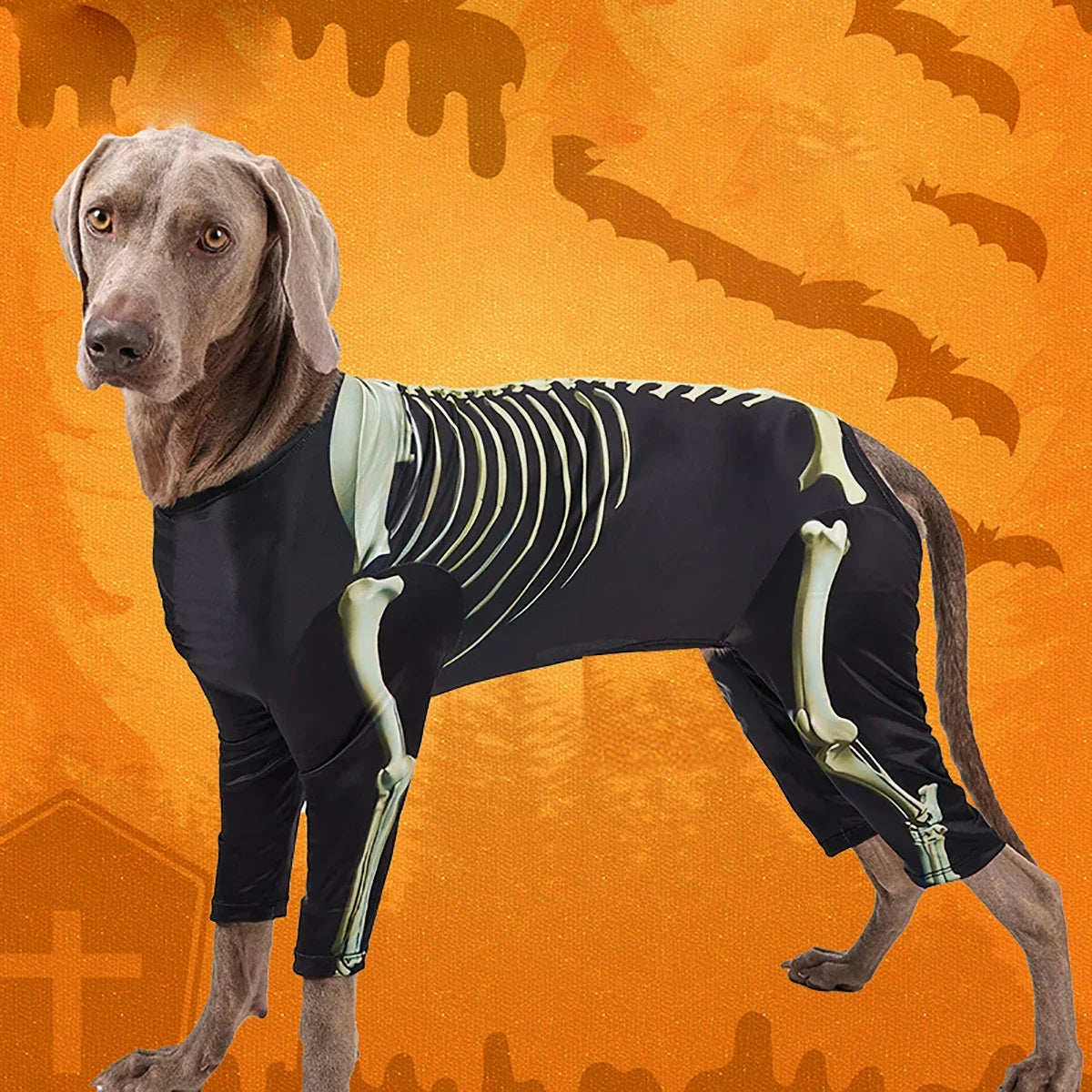 Skeleton Halloween Costume – Spooky Bone-Print Outfit for Dogs