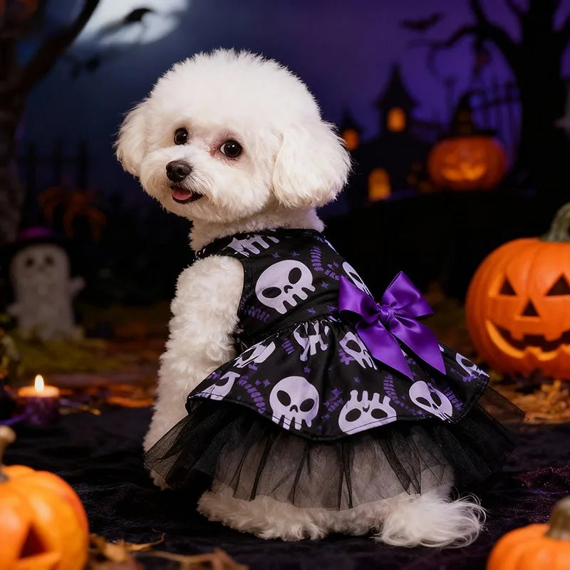 Witch Hat & Cape Costume Set – Halloween Cosplay for Dogs & Cats