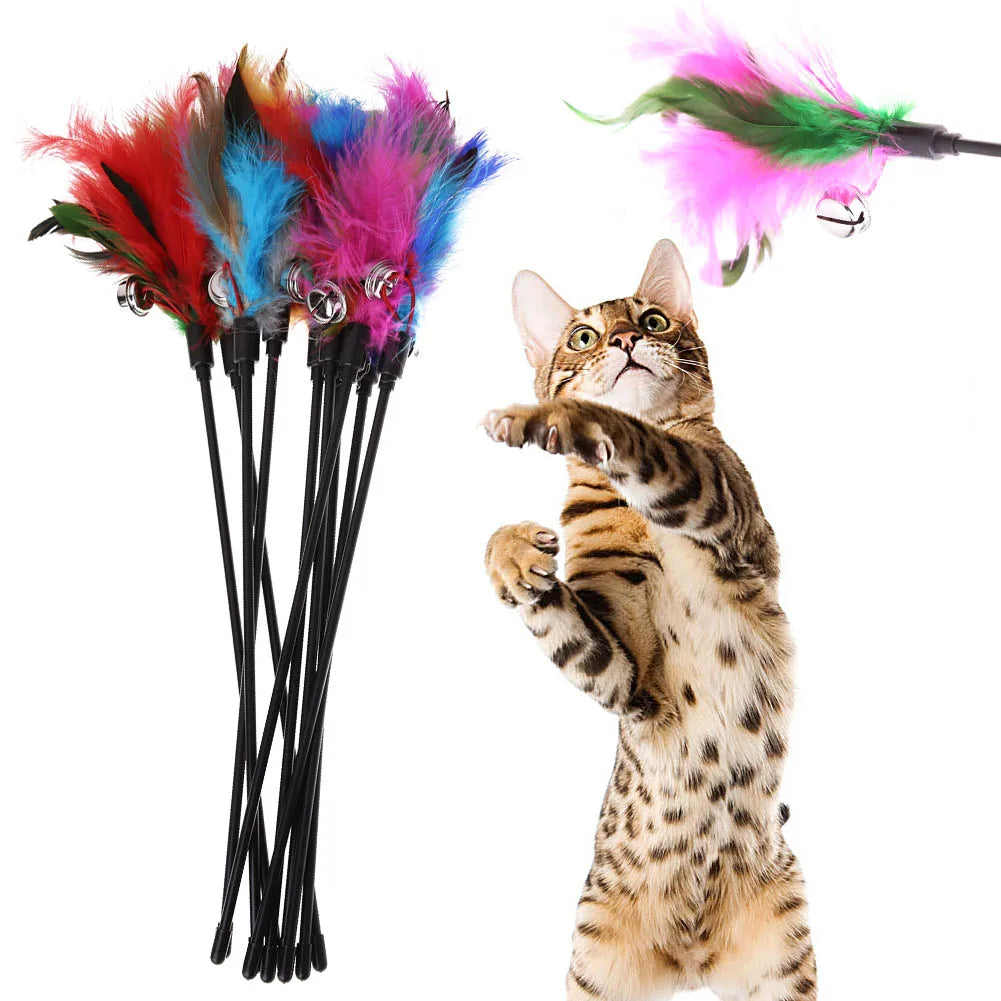 Feather Wand Cat Teaser – Interactive Play Wand (5/10/15 Pack)