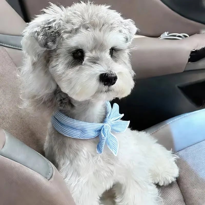 Pet Cooling Ice Scarf – Cooling Collar for Hot Days