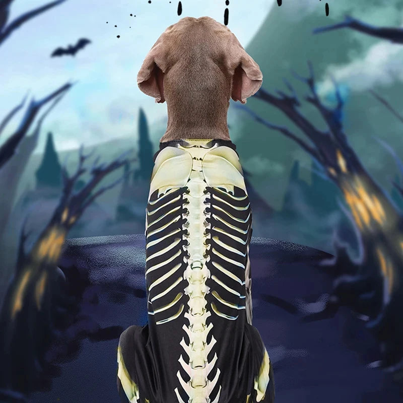 Skeleton Halloween Costume – Spooky Bone-Print Outfit for Dogs