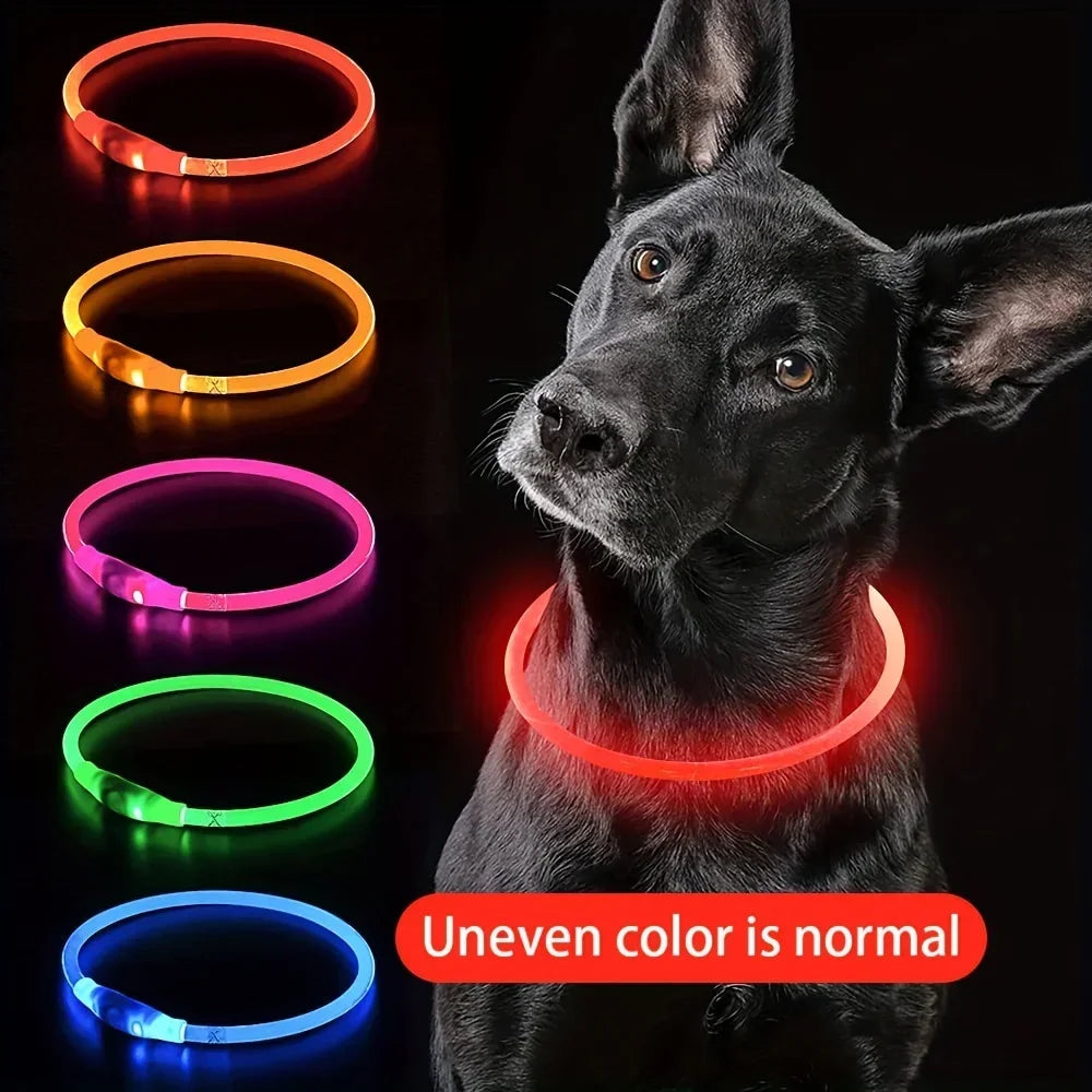LED Light-Up Dog Collar – USB Rechargeable Anti-Lost Safety Collar