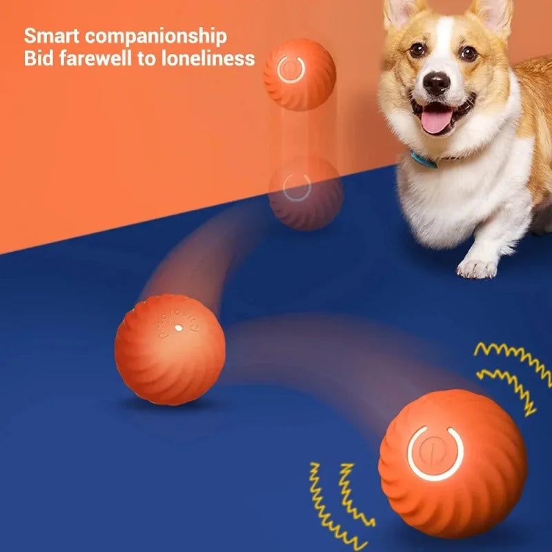 Smart Bouncing Ball – Automatic Interactive Dog Toy