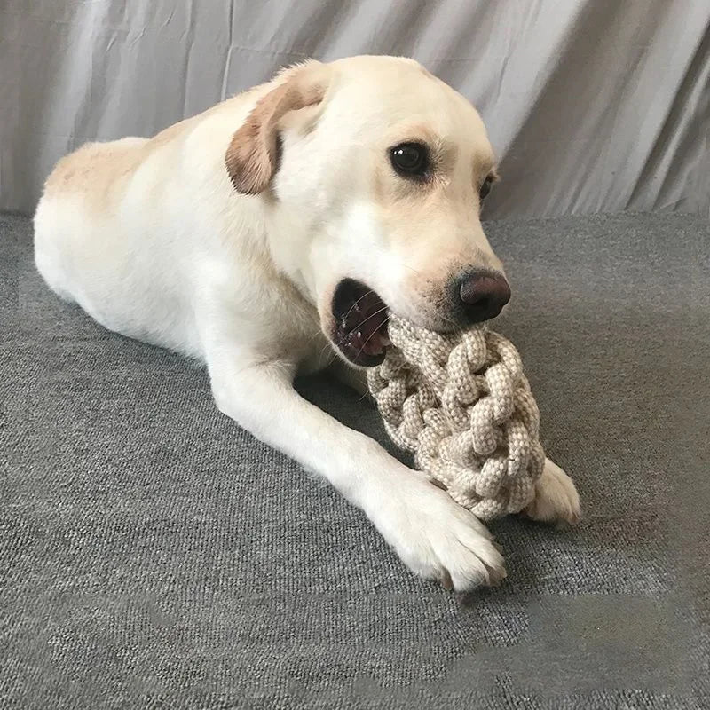Rope Knot Chew Toy – Teeth-Cleaning Tug Toy