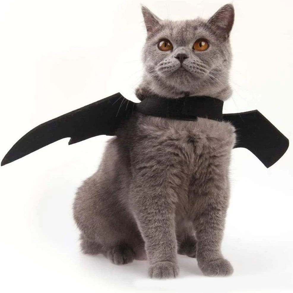 Bat Wings Halloween Costume – Funny Cosplay Dress-Up for Dogs & Cats