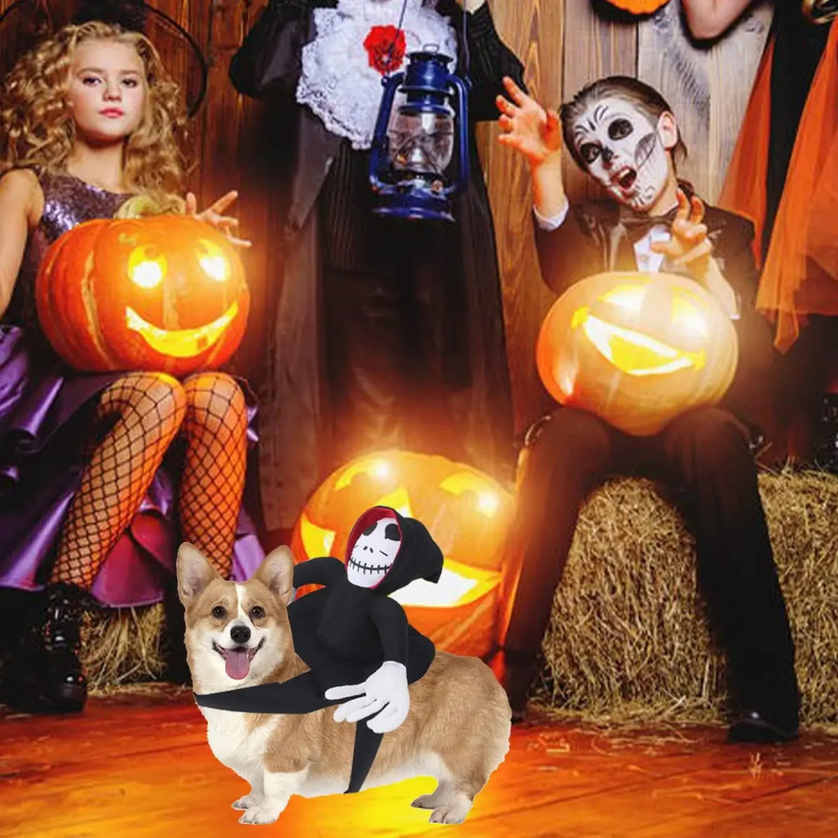 Ghost & Black Cat Halloween Costume – Spooky Dress-Up for Dogs & Cats
