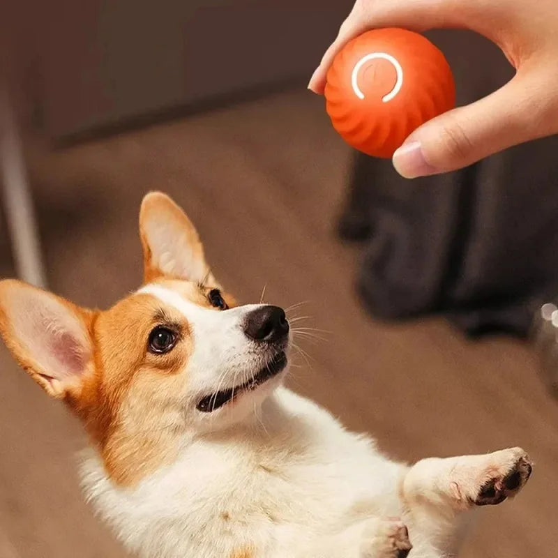 Smart Bouncing Ball – Automatic Interactive Dog Toy