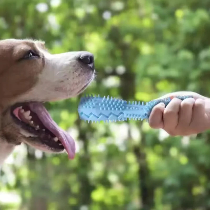 Dog Teething Chew Stick – Bite-Resistant Puppy Teether