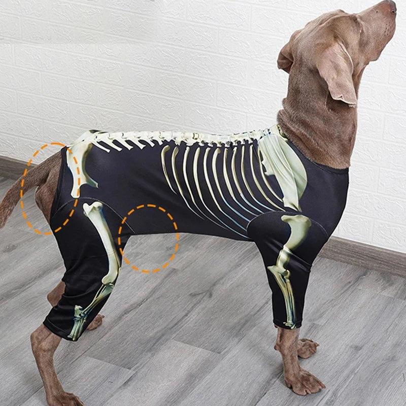 Skeleton Halloween Costume – Spooky Bone-Print Outfit for Dogs