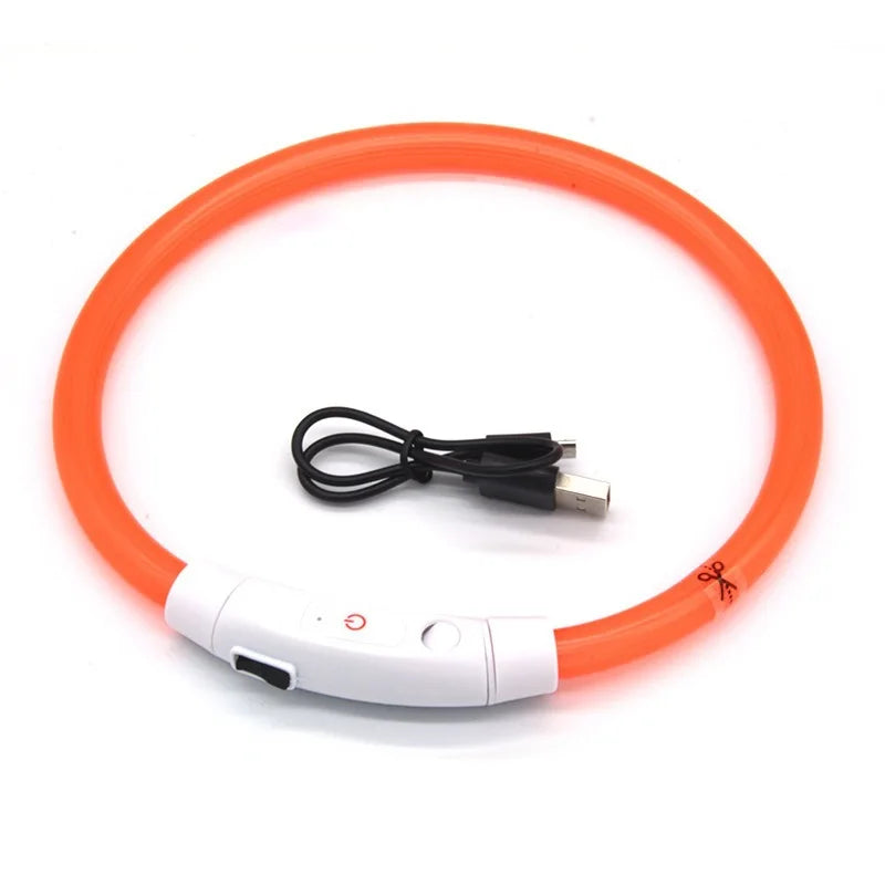 LED Light-Up Dog Collar – USB Rechargeable Anti-Lost Safety Collar