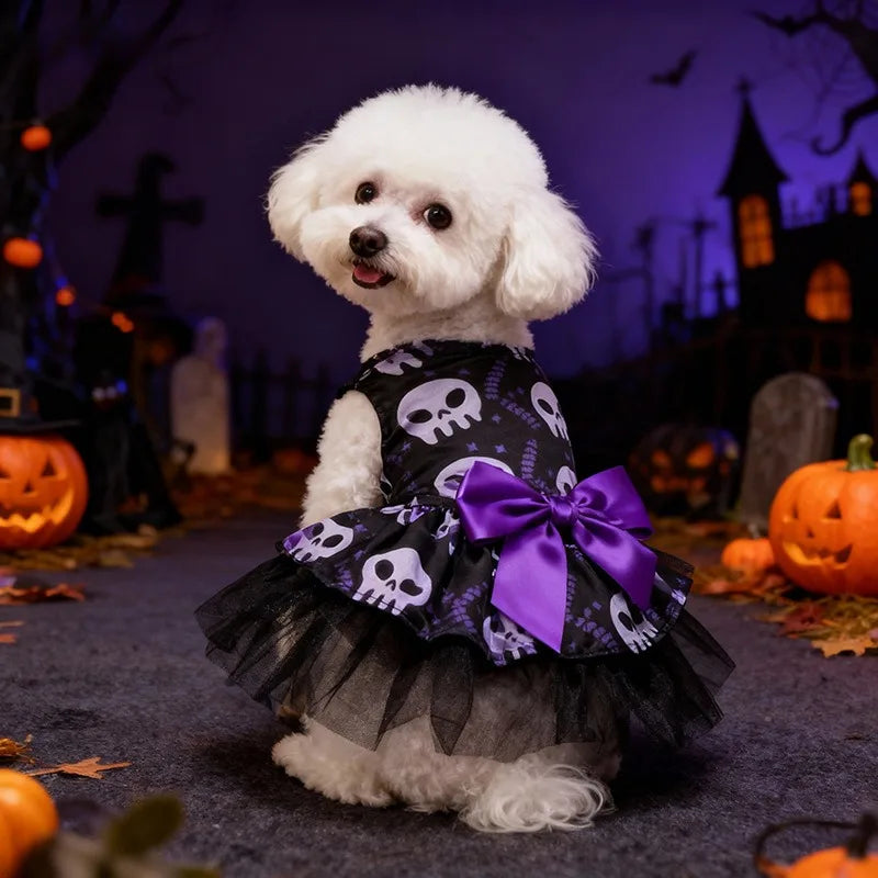 Witch Hat & Cape Costume Set – Halloween Cosplay for Dogs & Cats