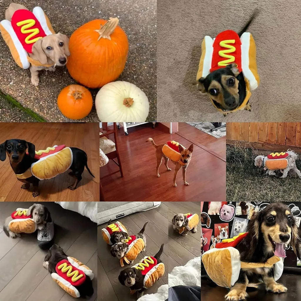 Hot Dog Halloween Costume – Funny Sausage Cosplay Outfit for Dogs