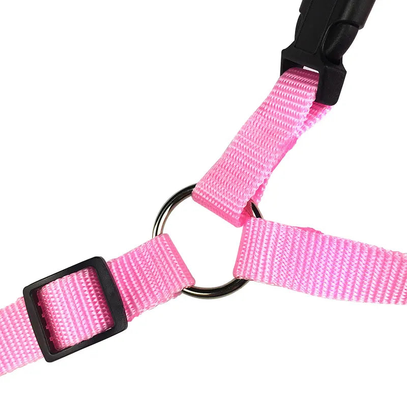 Adjustable Pet Car Seat Belt – Safety Harness Lead